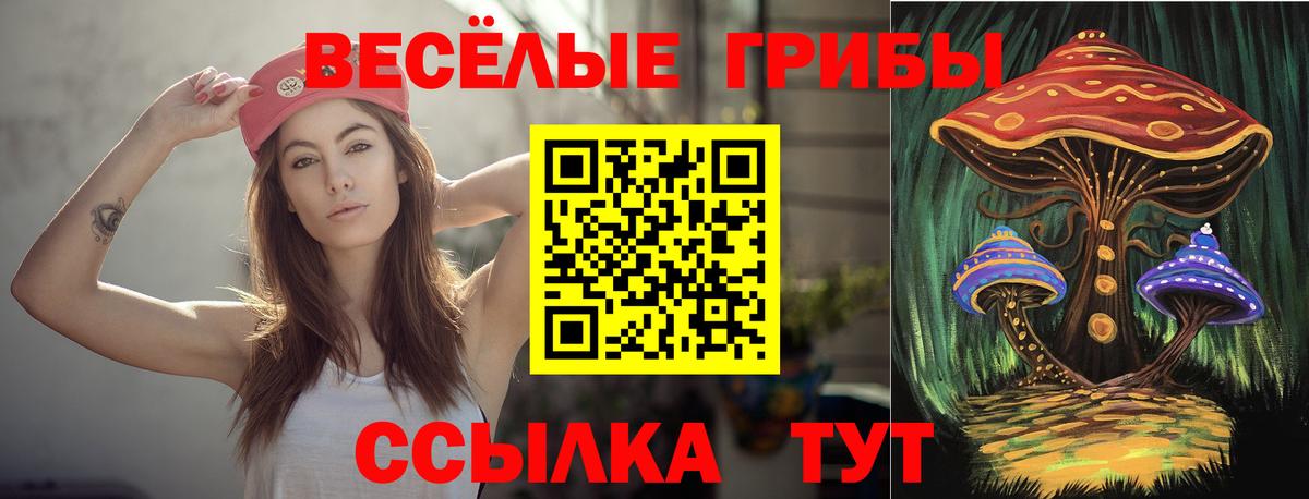 Псилоцибиновые грибы мицелий  Вход с VPN  Галлюциногенные грибы Psilocybine cubensis  Фурманов 